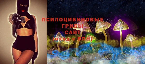 соль ск Лихославль